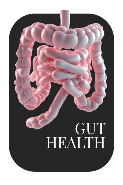 images/guthealth_tab.png#joomlaImage://local-images/guthealth_tab.png?width=400&height=600